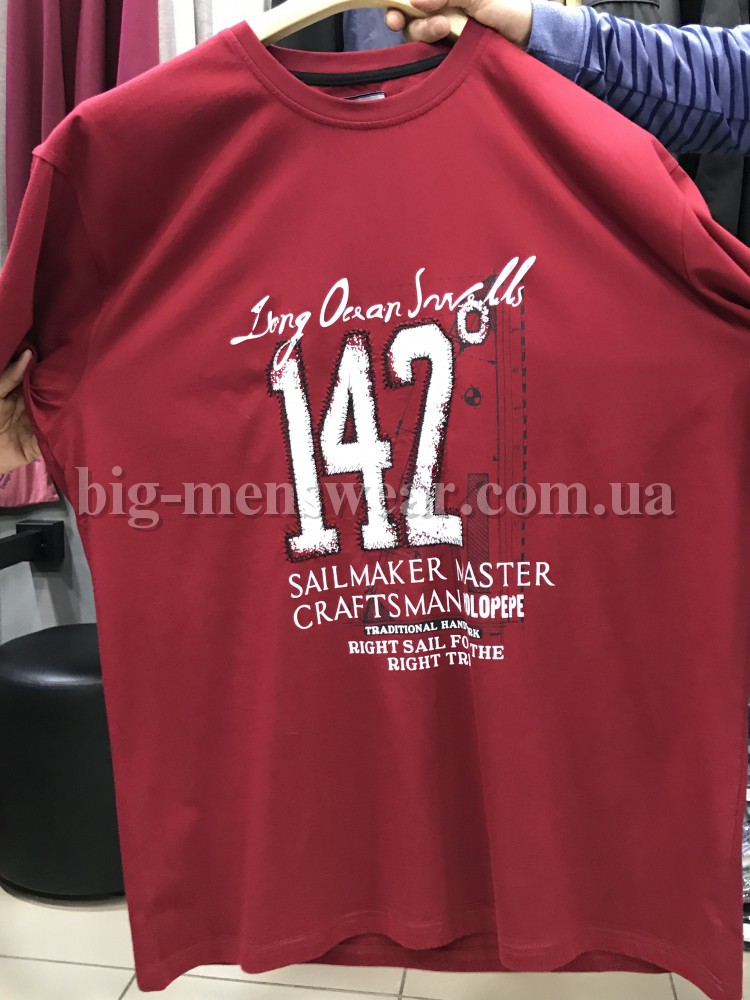 Мужская футболка